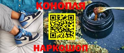не бодяженный Камышлов