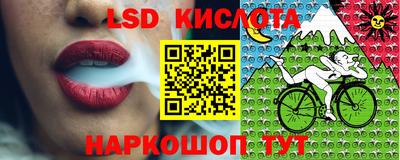 ECSTASY Канаш