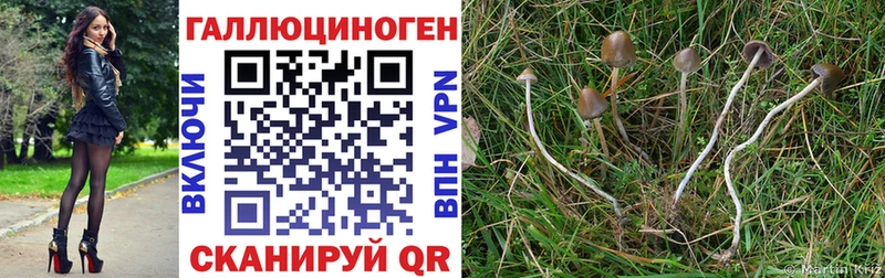 Галлюциногенные грибы мухоморы  blacksprut ССЫЛКА  Лысьва 